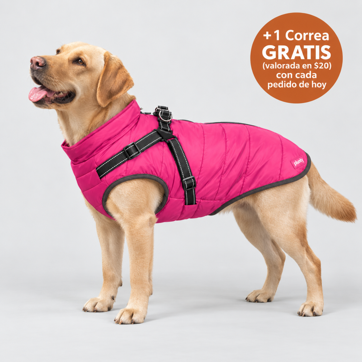 Plunfy™ Abrigo 3 en 1